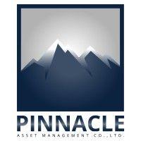 pinnacle asset management logo image