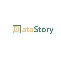 datastory consulting logo image