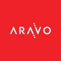 aravo solutions - integrated risk & resilience