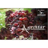 agrostar - egyptian fruit export logo image