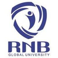 rnb global university logo image