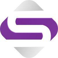 solverines technology solutions logo image