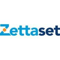 zettaset logo image