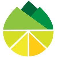 lemonpeak logo image