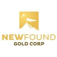 new found gold corp. logo image