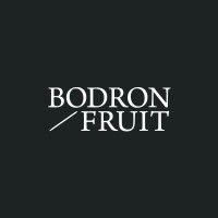 bodron/fruit logo image