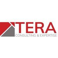 tera consultants logo image