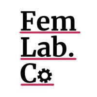 femlab.co logo image