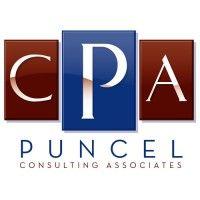 puncel consulting associates