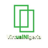 virtual nigeria (gvn) logo image