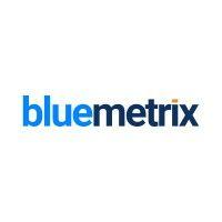 bluemetrix logo image