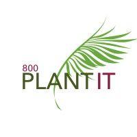 800 plant it logo image