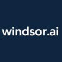 windsor.ai logo image