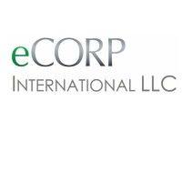 ecorp international llc logo image