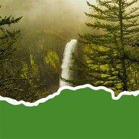 friends of the columbia gorge logo image