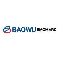 baomarc automotive solutions spa logo image