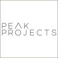 peak projects logo image