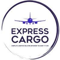 express cargo logo image