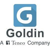 goldin, a teneo company logo image