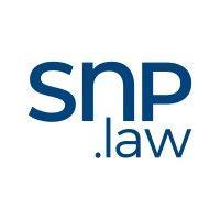 snp schlawien partnerschaft mbb logo image