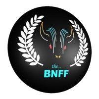 buffalo niagara film festival logo image