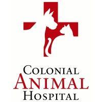 colonial animal hospital logo image