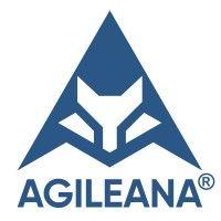 agileana logo image