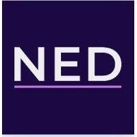 non-executive director and advisory portfolio logo image