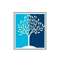 iron birch advisors® logo image