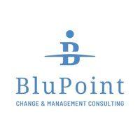 blupoint logo image