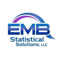 emb statistical solutions, llc logo image