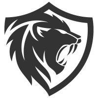 night lion security logo image