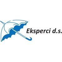 eksperci d.s. sp. z o.o. logo image