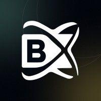 blockchainx logo image