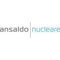 ansaldo nucleare logo image