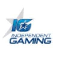 independent gaming logo image