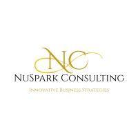 nuspark consulting llc logo image