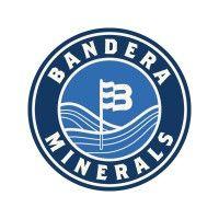 bandera group logo image