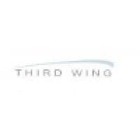 third wing business strategies, llc logo image