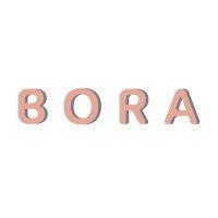 bora logo image