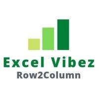 excel vibez logo image