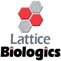 lattice biologics ltd. logo image