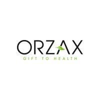 orzax corporate group logo image