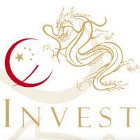 chinainvest consultoria logo image