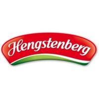 hengstenberg gmbh & co. kg logo image