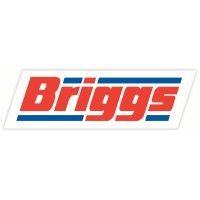 briggs marine logo image