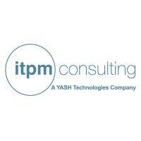 itpm consulting logo image