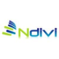 ndivi logo image