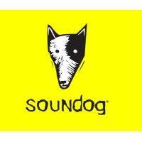 soundog solutions logo image