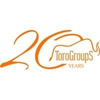 toro group s ltd. logo image